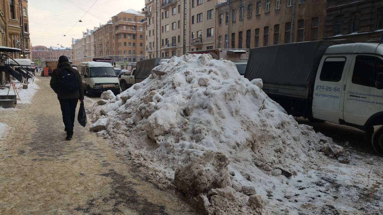 Петербуржцы жалуются на уборку города на портале «Наш Санкт-Петербург»