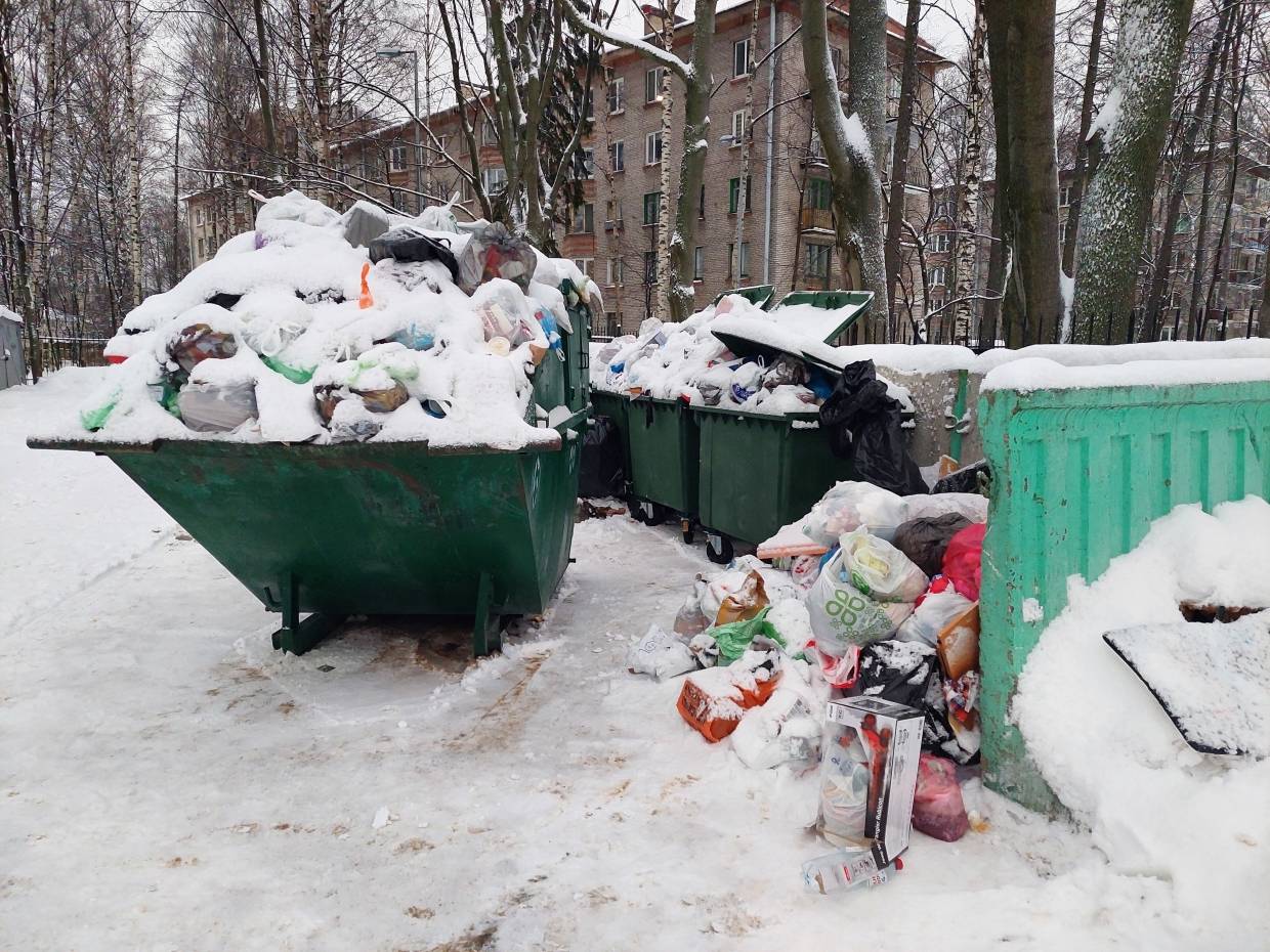 Власти Петербурга призвали волонтеров решать проблему с мусором