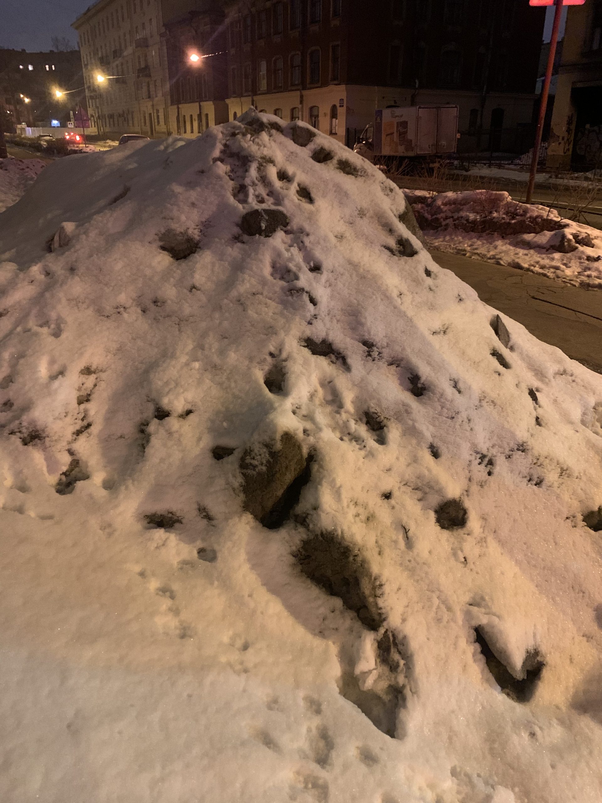 Общественница Малышева назвала Беглова ответственным за плохую уборку снега в Петербурге 