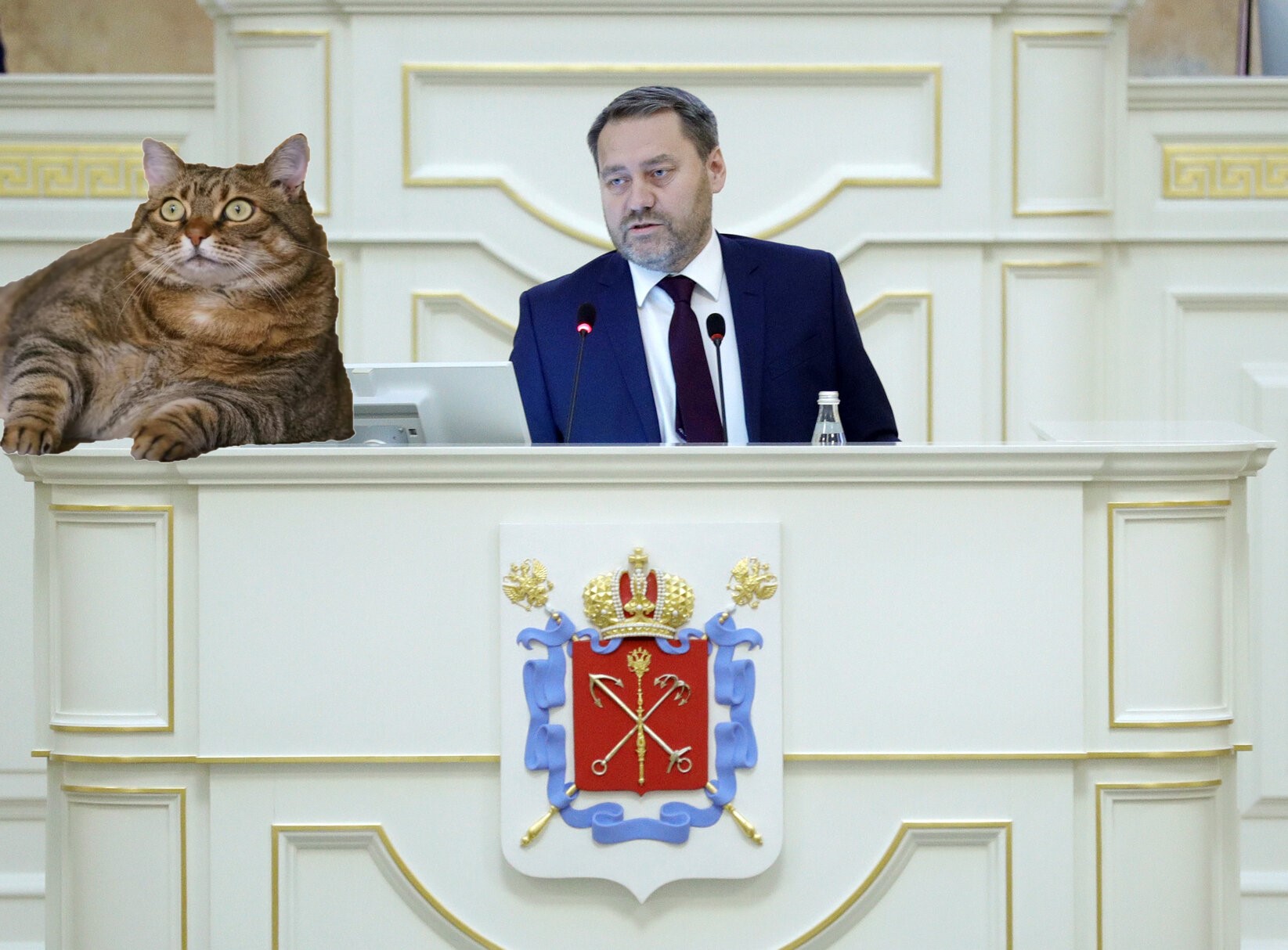 Экс-депутат Бабич осудила вице-губернатора Пиотровского за обсуждение котов в Мариинском дворце
