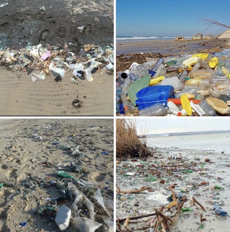 «Зрелище печальное»: жители Петербурга возмущены горой мусора и мертвой нерпой на берегу Финского залива 