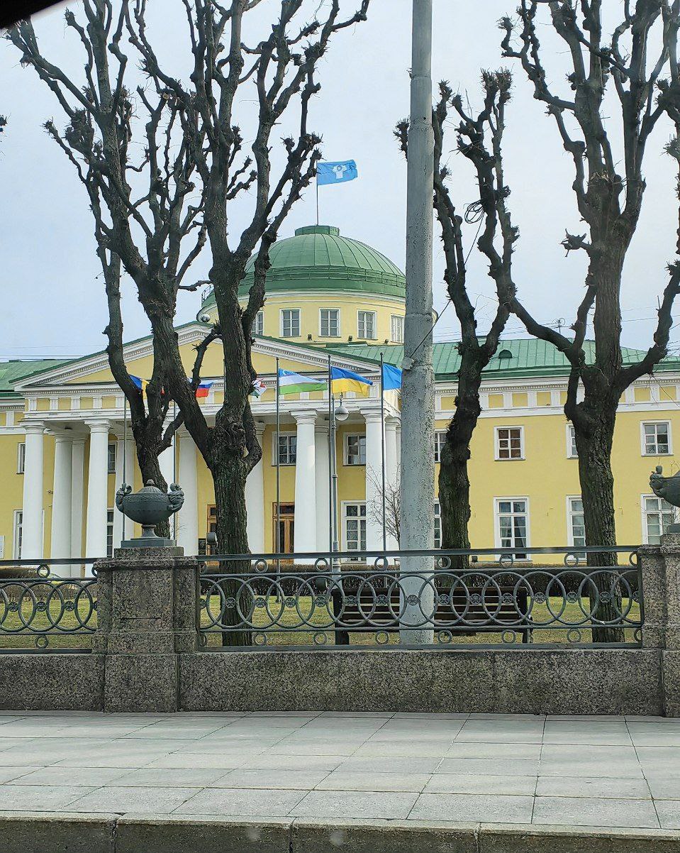 Депутат Грудин призвал власти Петербурга убрать украинские флаги