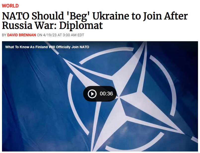 НАТО будет умолять Украину присоединиться к военному блоку
