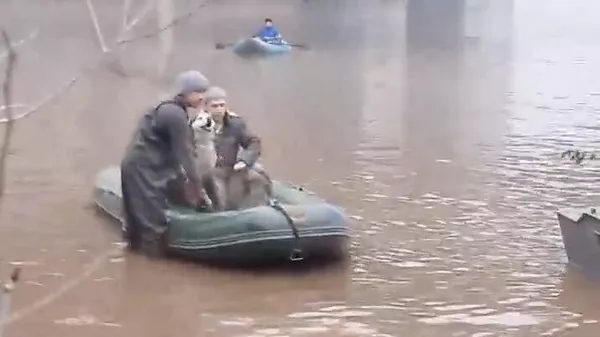 В затопленном Оренбурге спасли собак из питомника «Оренбургские хаски»